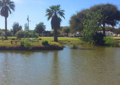 fishing pond