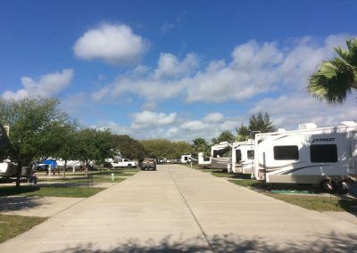 RVs in park